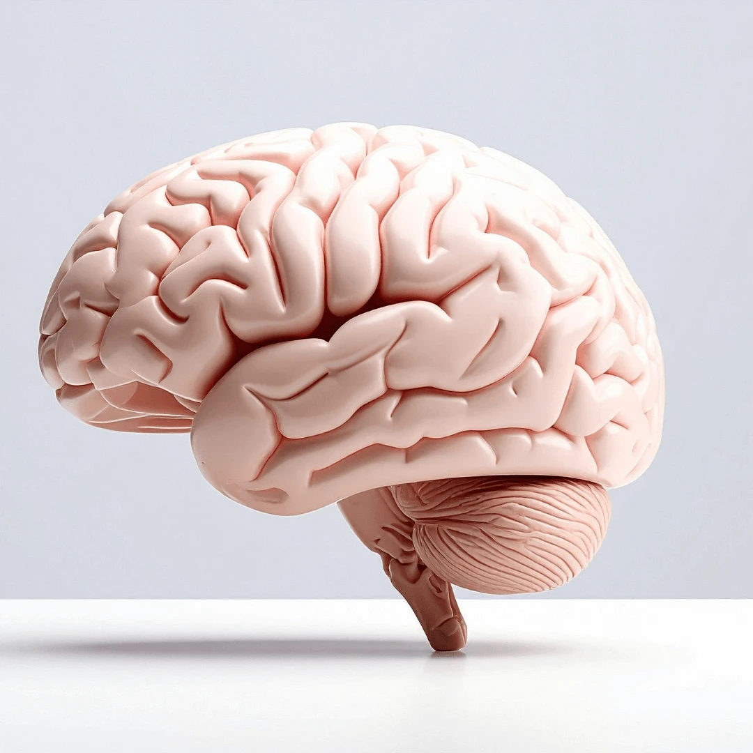 Kada se javiti neurologu? | Poliklinika Mediclarus - Poliklinika Mediclarus